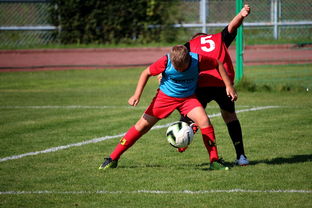 九游娱乐-中国足球俱乐部与国际学校合作开展足球课程,国内足球培训基地