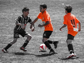 九游app官网下载-NBA球员训练营活动，nba球员训练营活动安排