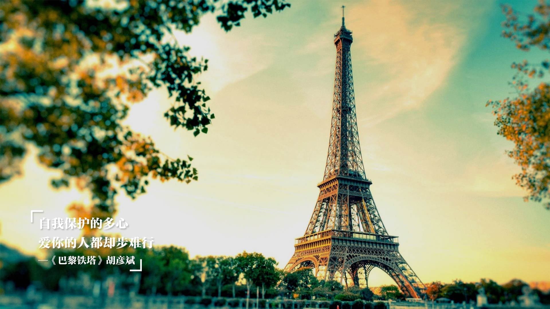 NBA球员训练营精彩回顾,nba球员训练师