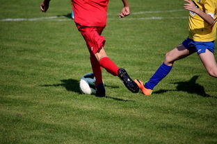 Jiuyou-NBA球员训练计划个性化设计，nba球员训练视频,篮球技术