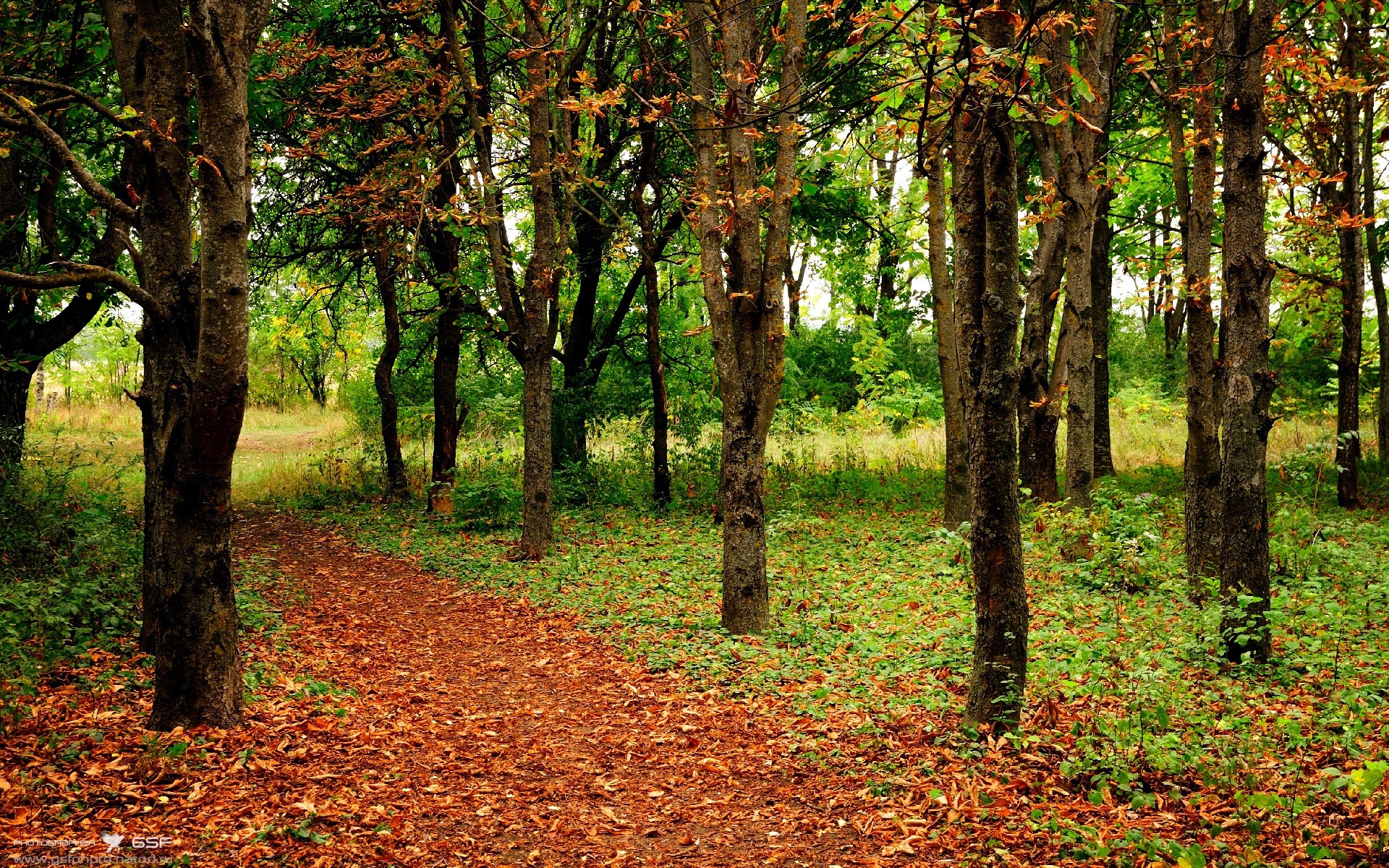 九游网页版官网-中国足球训练中应用VR或AR技术的前景，中国足球训练中应用vr或ar技术的前景如何