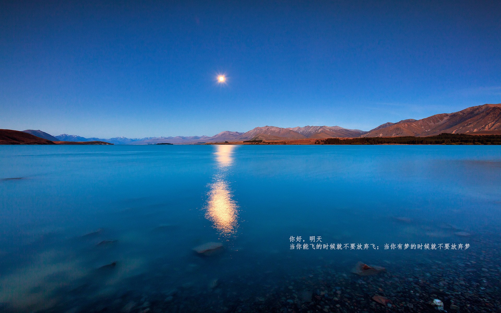 Jiuyou-亚洲冠军光环受挑战，亚洲冠军赛