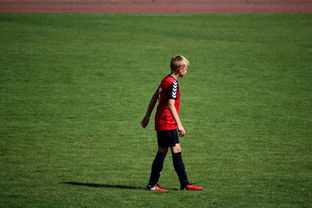 九游娱乐网页版-中国足球职业俱乐部球员转会市场活跃度提升,中国足球协会球员身份与转会管理规定